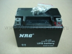  12v4ah 4L-HR (113x70x85) NRG