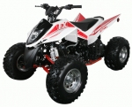  ATV Irbis K250 