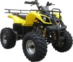  Irbis ATV 110U 