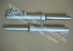  Vortex, F1, 12 , 2