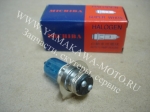  H6 P15D-25-1 12v25/25w S White Halogen
