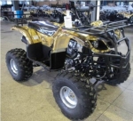  ATV Irbis 200U 